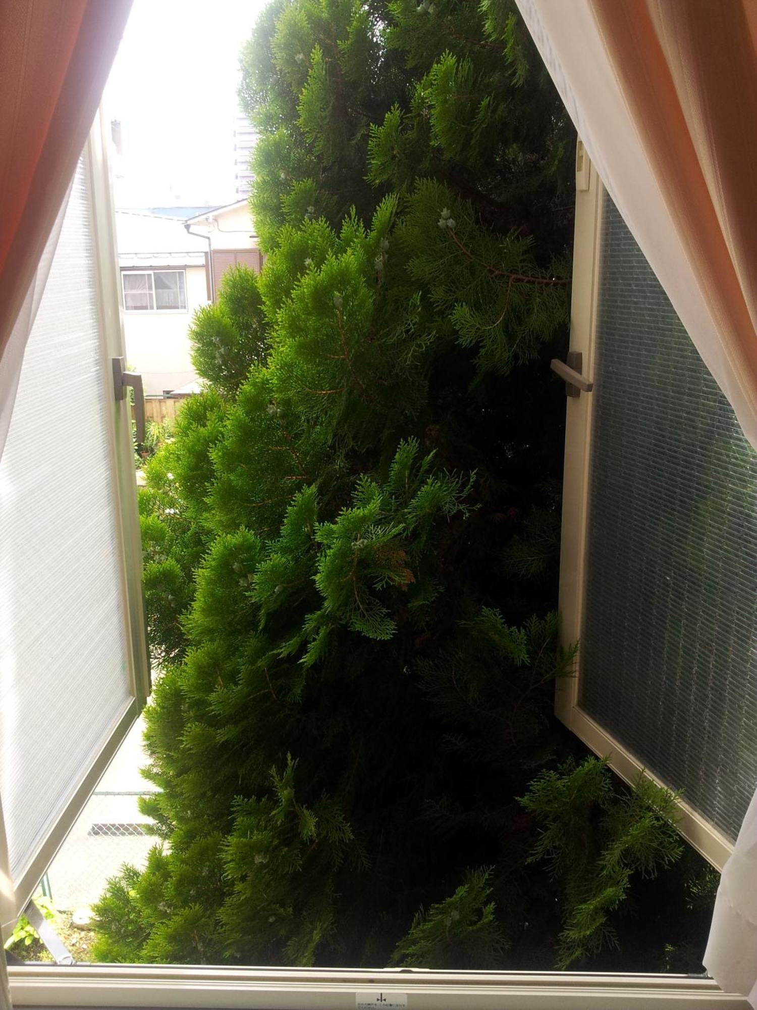 Tokyo8Home Hacsiodzsi Szoba fotó